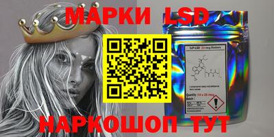 бошки Шебекино