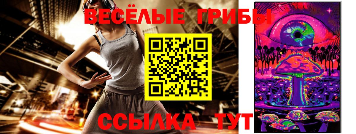 Будённовск  Псилоцибиновые грибы Psilocybine cubensis  Галлюциногенные грибы Psilocybe  Вход с VPN 