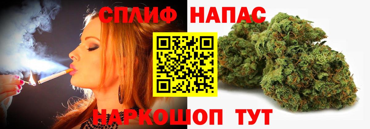 Конопля Amnesia Будённовск